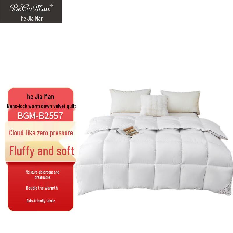 Beigeman Iceland Nano-Lock Warmth Down Alternative Quilt