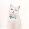 Plaid Check Cat Collar with Bells Bow Tie Breakaway Pet Necklect Comfortable Stylish Design Pet Neck Collar for Boy Girl Cats Small Dogs