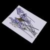 Pack of 10 Mixed Real Pressed Dried Flowers Dry Sage Embellishments DIY Making Card Handmade