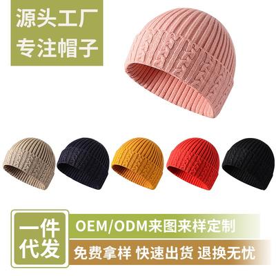 Autumn and Winter Twist Wool Hat Women's Knitted Hat Cold-proof and Warm Ear Protection Hat Sleeve Cold Hat Student Couple Hat