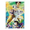 Casse-tête 98 pièces à collectionner dragon ball z 2 star ball