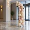 10 Sets Curved Arch Arch Frame Sturdy Metal Backdrop Arch Curved Arch Backdrop Stand Modern Look Event Decor for Ceremony