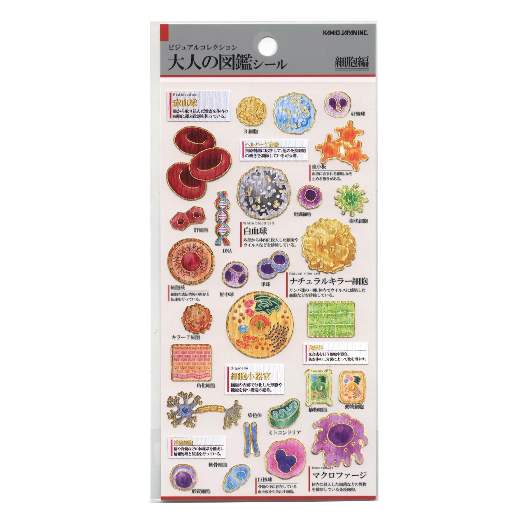 

Kamio Japan Stickers Adult Picture Book Stickers Cells 228109