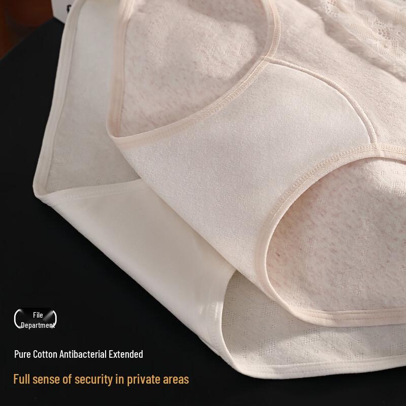 Palanduo Women's Low-Waist Lace Cotton Antibacterial Briefs