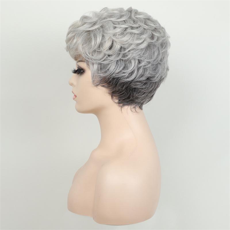 Women's Grey Wig Synthetic Natural Layered Haircut Short Curly Wig with Bangs Elderly Ladies Grandmother Wig Cosplay