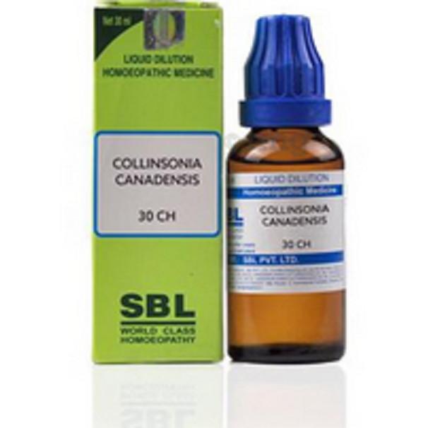 @ SBL Collinsonia Canadensis 30 C Homeopathic Medicine 30ML UKR97_60%OFF