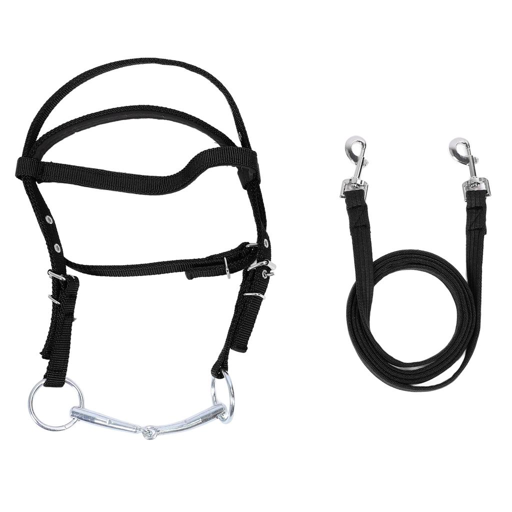 Horse Bridle Rein Nylon Stylish Adjustable Horse Bridle Headstall Equestrian Rein