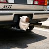 50mm Anhängerkupplungsschutz 3D-gedeckeltes Capybara Anhängerkupplungskappe, Dekorative Anhänger Staubzubehör Kappe, Abschleppschutz, Wohnmobil LKW Universalkappe