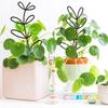 Rustproof Garden Climbing Frame Leaf Shaped Design Flowers Trellis Plant Trellis  Indoor Outdoor