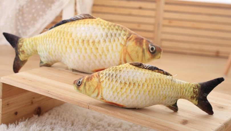 [dokidoki] Carp Fish Cushion Plush Toy, Cute, Fun, Event, Party, Halloween Gift, Cute, Moe, Instagram (Carp)