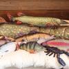 Dulton Fishes Salmon 65 Fish Cushion for Everyday Life Large Body Pillow Marine Life Nordic Salar FISHES Total Length 65cm Lax/Salmon/Salmo Y-0512