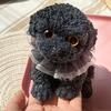 Jumbo Squishy Toy Squishies Dog Kawaii Dog Stress Relief Toy Squeeze Toys Cute Teddy Puppy Party Supplies Toys for Boys Girls