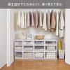 Tenma Fits Case Closet Storage Box, 44cm (W) x 53cm (D) x 18cm (H), Durable, Made in Japan, Made