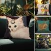 Cute Funny Oil Painting of Cat Picture Pillow Case Pattern Printed Pillowcase for Living Room Sofa Cushion Cover & Bedroom Decor
