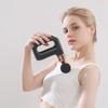 Alliance Messenger Single Head USB LCD Massage Gun