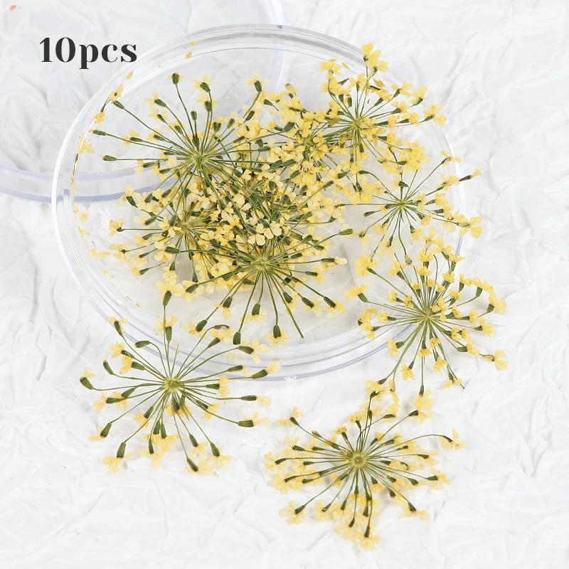 

10 шт., розовые, синие, сушеные цветы, натуральные украшения для дизайна ногтей, блестки, 3D лепестки, подвески для ногтей, детали для лета, УФ-гель, дизайн маникюра