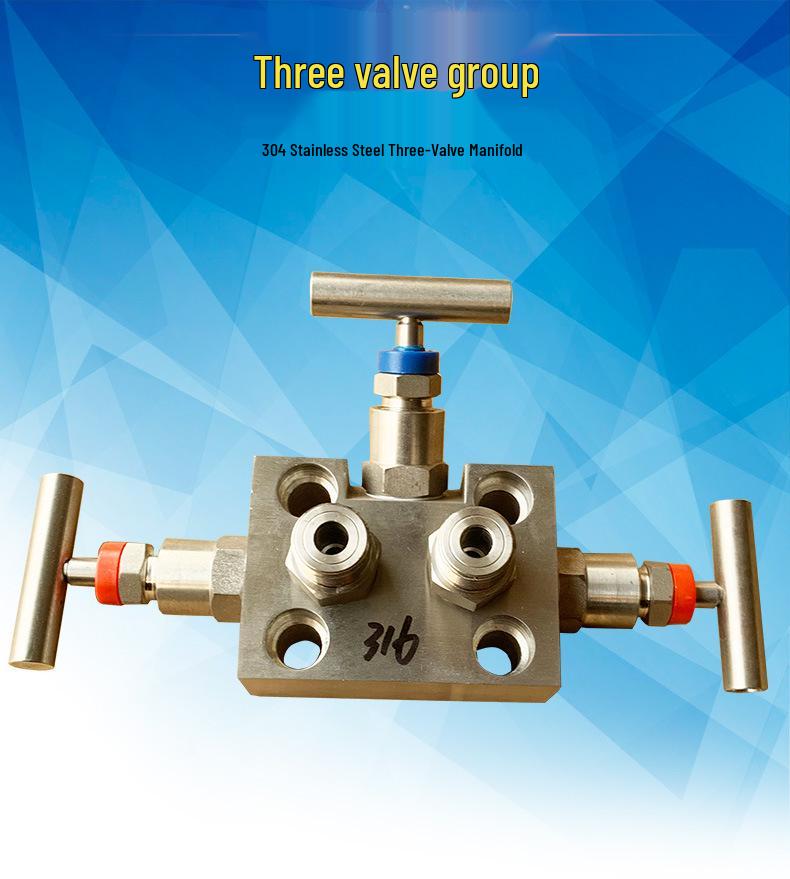 Stainless Steel Five-Valve Manifold for 3051CD & EJA with Special Materials