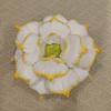 Korean-Style Lotus Water Lily Plush Toy - Succulent Good Luck Home Back Cushion