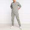 Emporio Armani EA7 Einfaches Buchstabenlogo Langarm-Sweatshirt Herren sweatshirt Grau 6HPM92-PJ07Z-0905