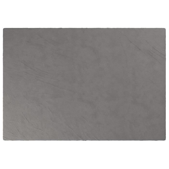 VidaXL Couverture lestée avec housse Gris 138x200 cm 10 kg Tissu 350827