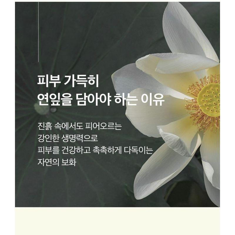 THE PURE LOTUS - Lotus Leaf Shampoo For Middle And Dry Scalp Jumbo