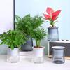 2 set Självvattnande Blomkruka med Veke Rop för Inomhus Utomhusväxter Planteringskruka med Dräneringshål Genomskinlig Behållare Kryddor Blomsterkruka