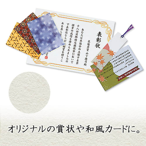 Plus Inkjet Paper Japanese Paper Medium Thick A4 10 Sheets IT-324J 45-295