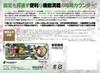 P Entertainment Store Kachikachi-kun Clear Plus Sengoku Otome Yamamoto Kansuke Version Small Role Counter Kachikachi-kun Plus