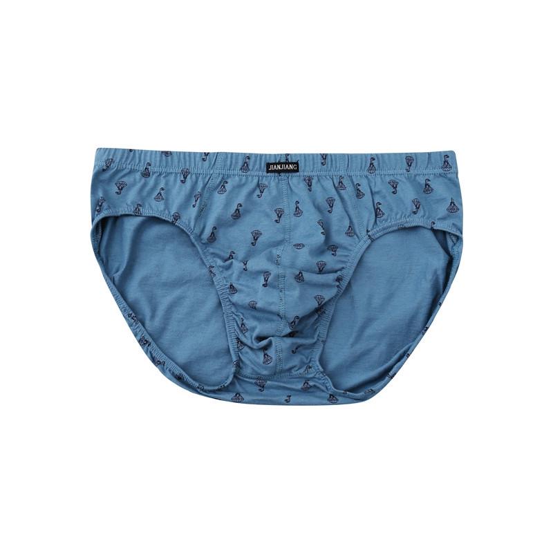 Genuine Jian·Jiang Men's Triangle Briefs - 2 Pack, Pure Cotton, Mid-Waist, Breathable & Comfortable, Bestseller