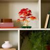 LEGO Botanicals 10348 Bonsaï d’Érable Rouge du Japon - Kit de Construction pour Adulte