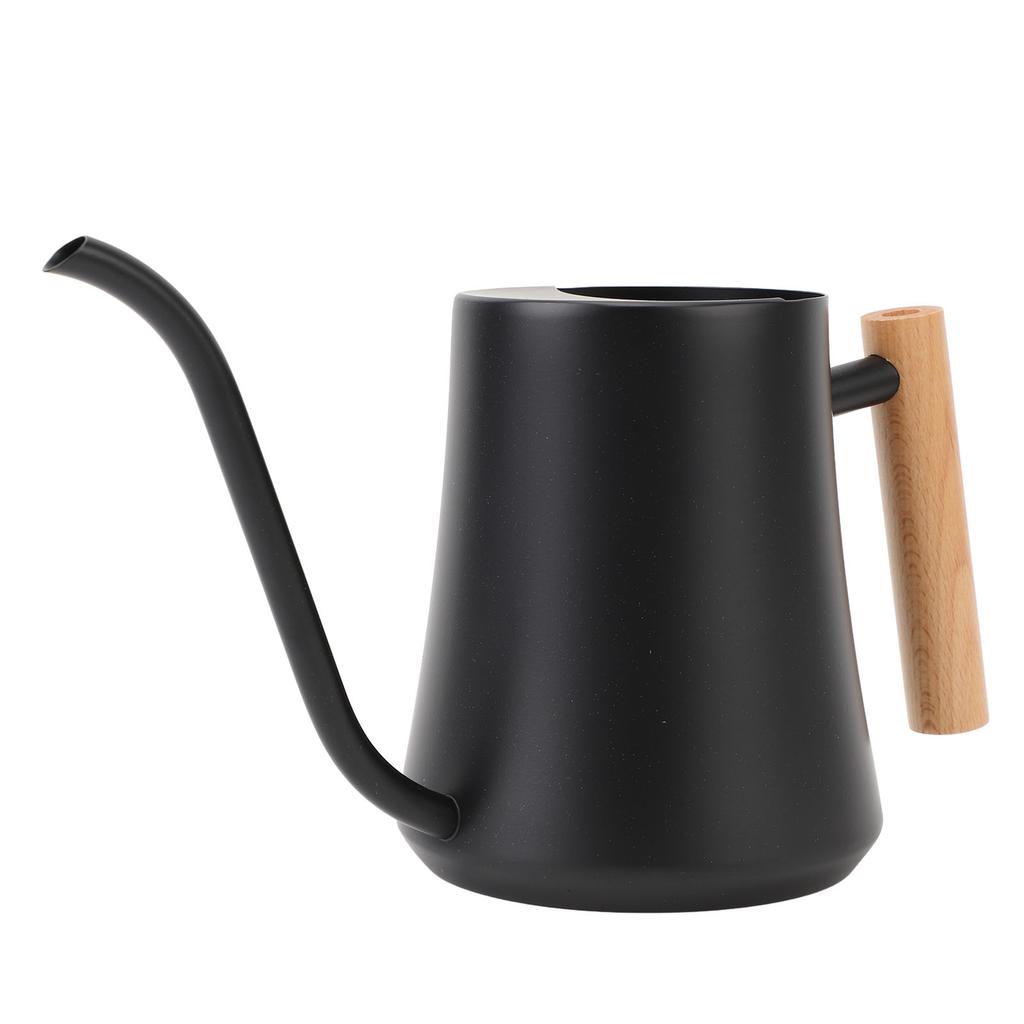 Indoor Watering Can Stainless Steel Wooden Handle Watering Pot with Long Spout for House Plants Flowers Succulents