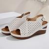 Fashion Hollow Out Wedge Sandals for Women Summer 2025 Chunky Platform Rome Shoes Woman Plus Size Vintage High Heels Sandles Female 43