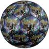 Pallone da calcio a tema Chelsea FC Taglia 5 Pallone da calcio Tocco Morbido Pallone da calcio Professionale per Allenamento per Sport all'Aperto