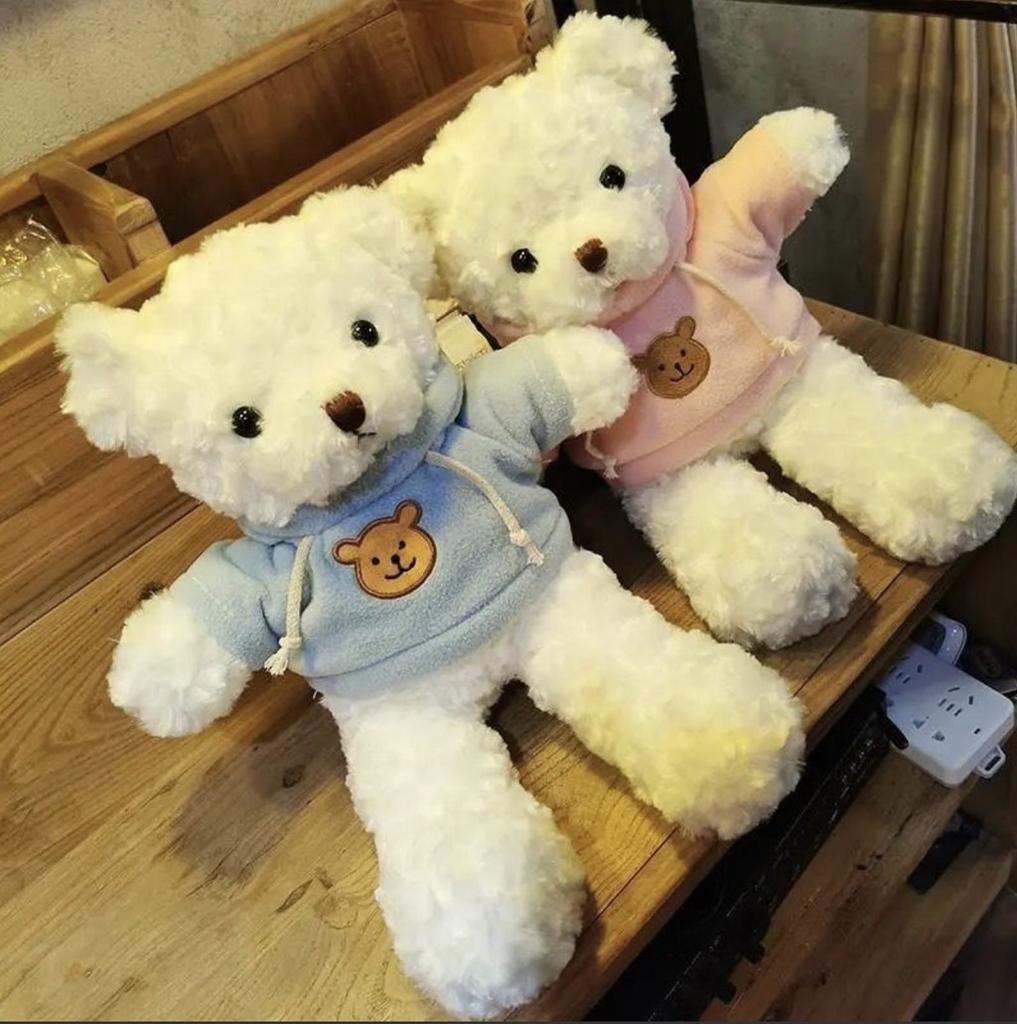 Teddy Bear Adorable Hoodie Cute Girl Kids Companionship Plush Toy Birthday Gift