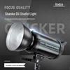 Godox DII 600W Studio Strobe Flash Kit