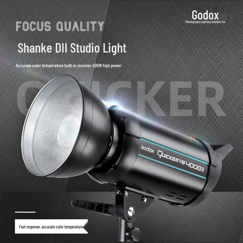 Godox DII 600W Studio Strobe Flash Kit