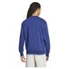 adidas Collegiate Hoodie