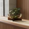 Glass Fruit Bowl with Wood Stand Elegant Design Tea-Tinted