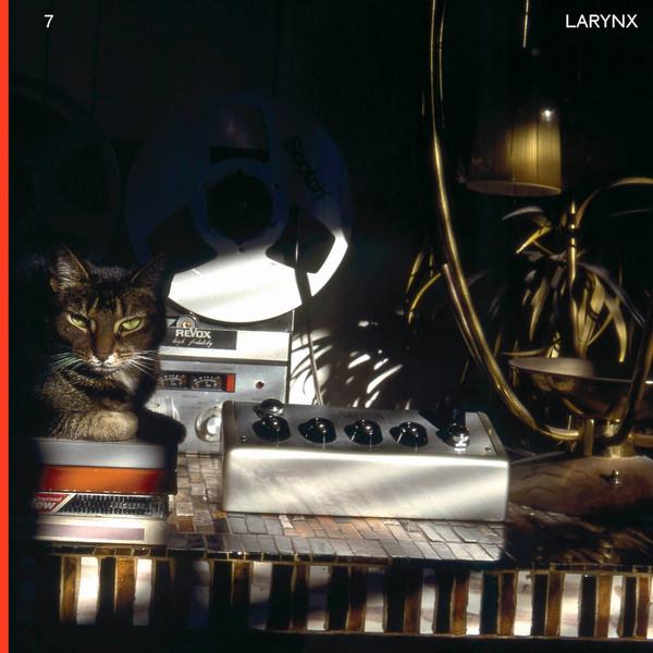 

LP Record LARY SEVEN - Larynx BF059 Blank Forms Edi 2023 US Dance & Electronica