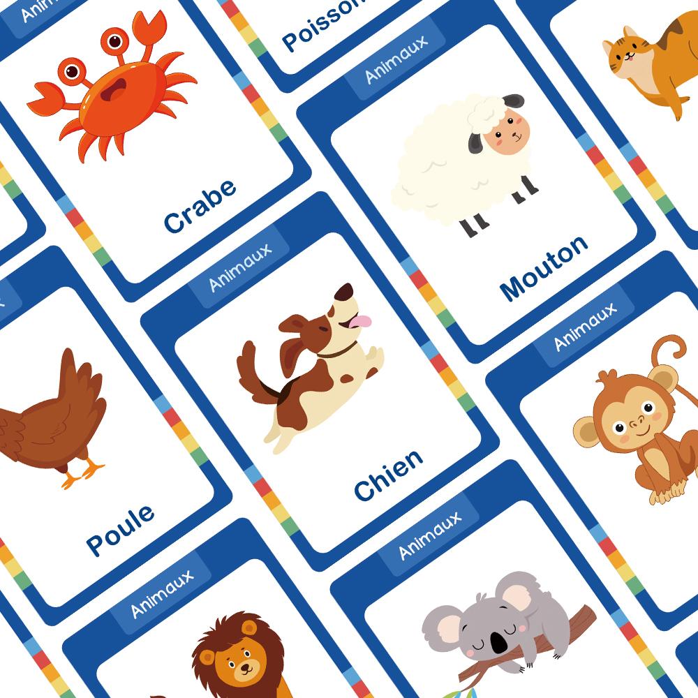 Food / Animals / Fruits / Body Parts French Words Learning Cards for Kids Early Language Skill Classroom Activities Memory Games