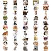 100 Cat MEME Graffiti Stickers Decorate Guitar Notebook Suitcase DIY Waterproof