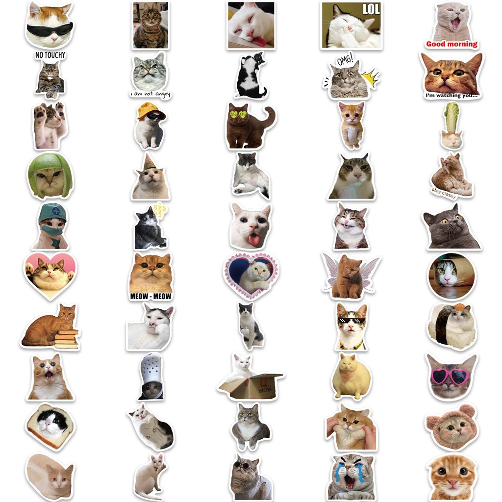 100 Cat MEME Graffiti Stickers Decorate Guitar Notebook Suitcase DIY Waterproof