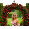 Arco Pergolato da Giardino 265 Cm Plonos Pl-991