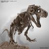 Szkielet Tyranozaura 1/32 Model Plastikowy 197694