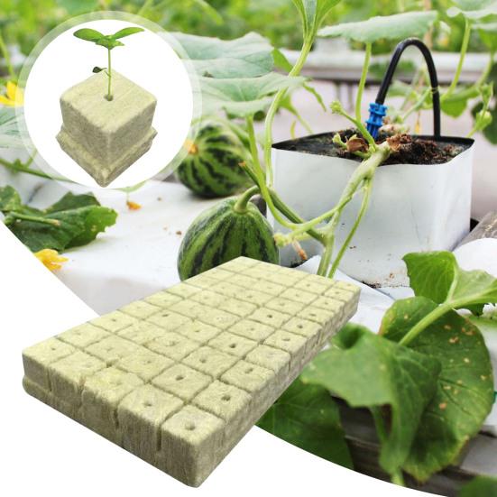 50Pcs Rock Wool Planting Cubes Mineral Fiber Plant Growing Cubes Absorbent Breathable Grow Sponges for Seedlings Hydroponics Soilless Cultivation