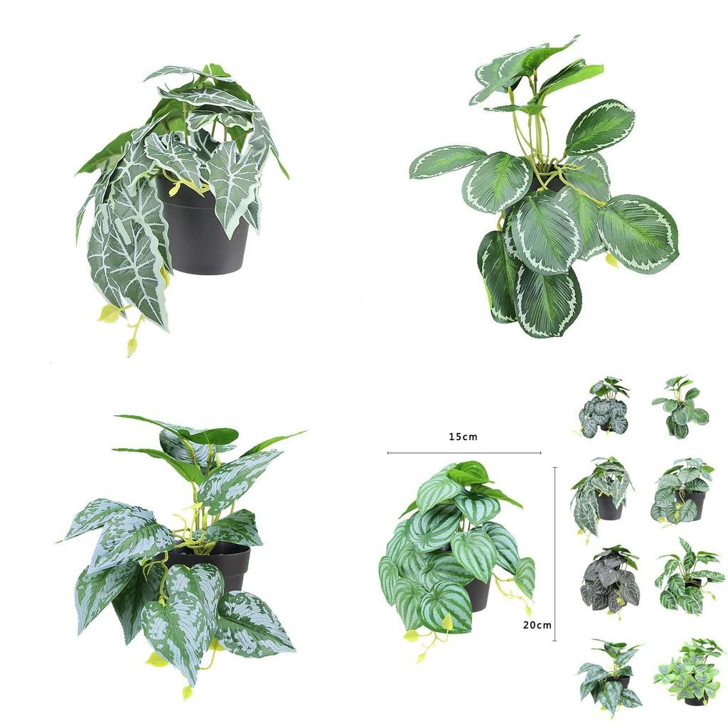 Sztuczna zieleń pnąca Shamrock do dekoracji ścian wewnętrznych z tworzywa sztucznego