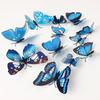 Xtore Plastic Reusable Self-Adhesive Wall 3D Home Build Beautiful Butterfly