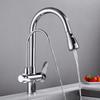 TLXT Black Brass 3-in-1 Kitchen Pull-Out Faucet