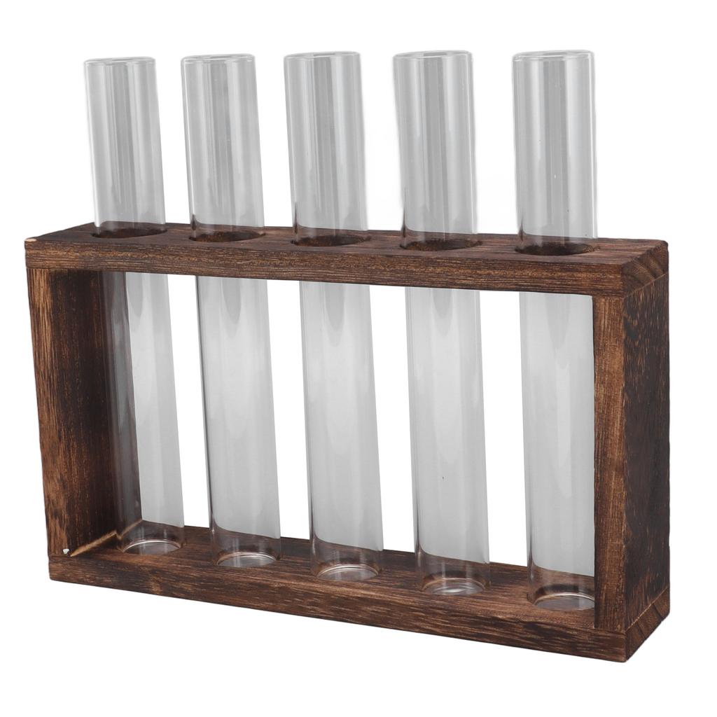 5 Test Tube Plant Terrarium Transparent Observe Growth Status Water Plant Holder with Wooden Stand for Herbs