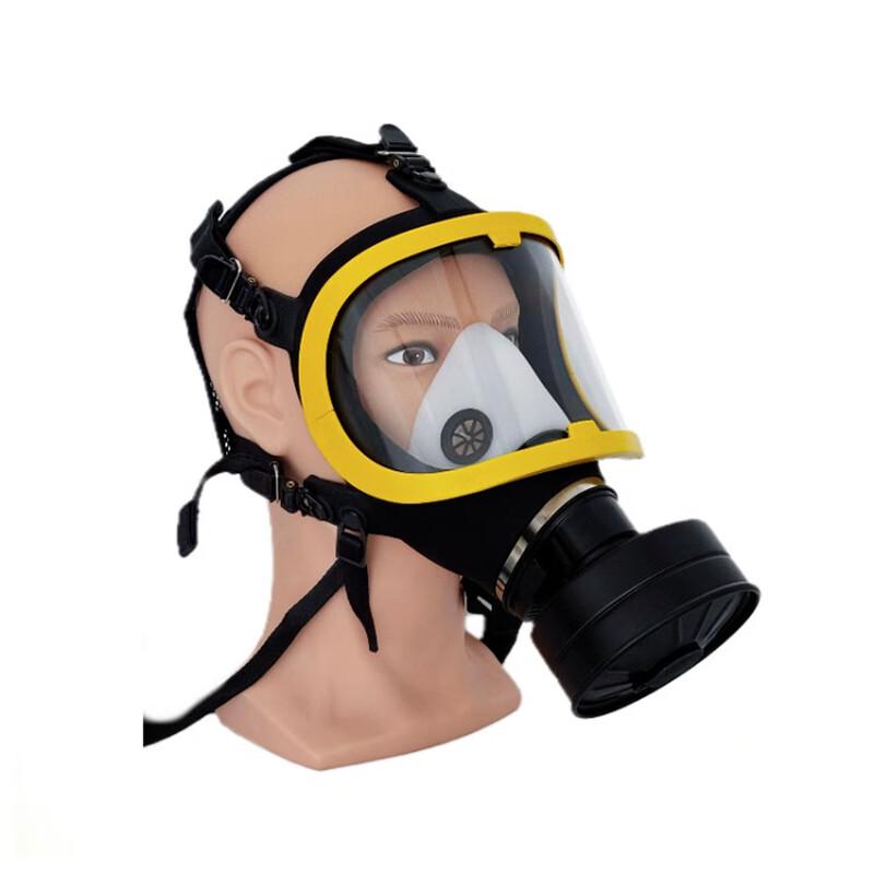 Lieve Silicone Full Face Respirator Mask Standard